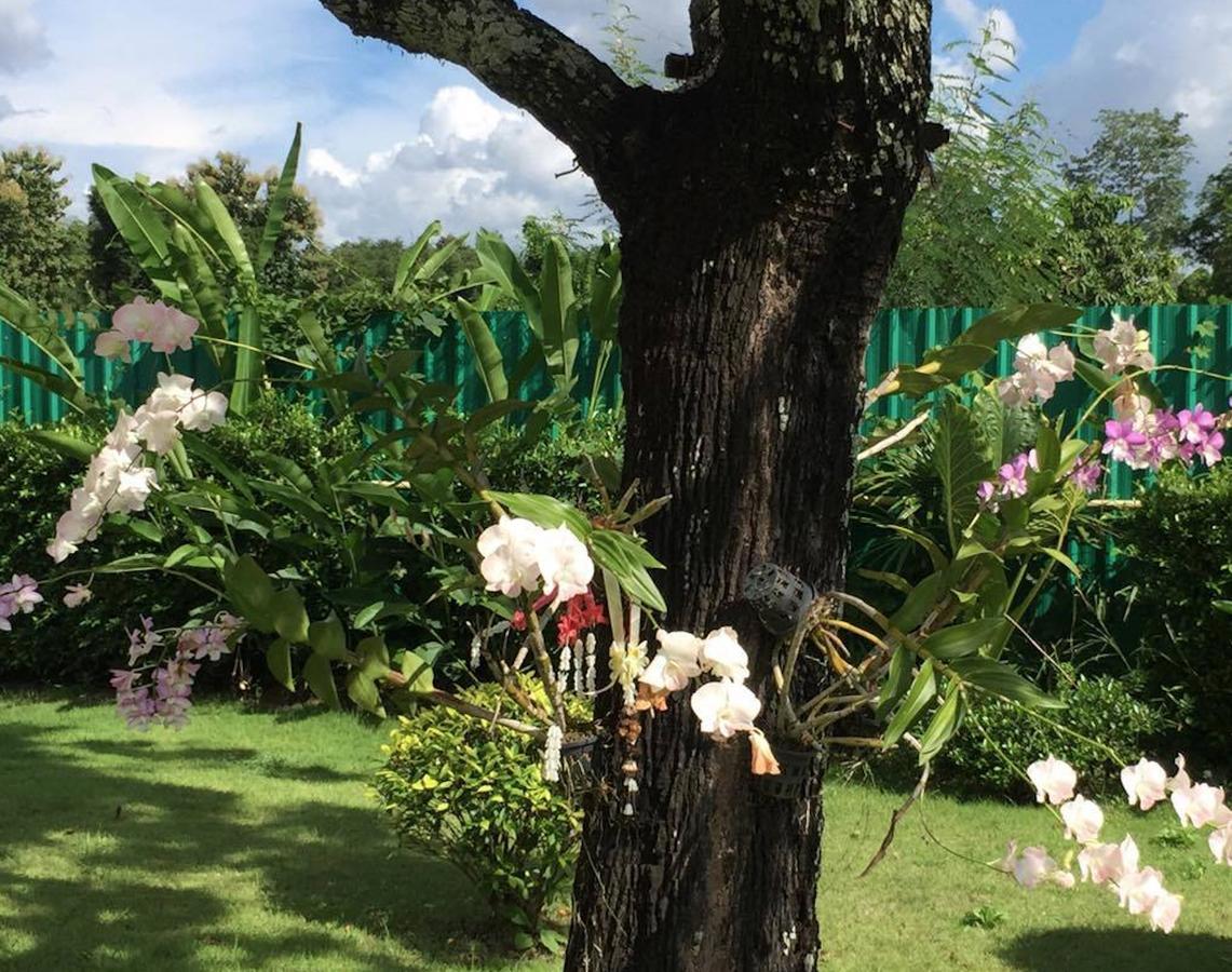 Maeping Mango Riverside Resort Kamphaeng Phet Eksteriør billede